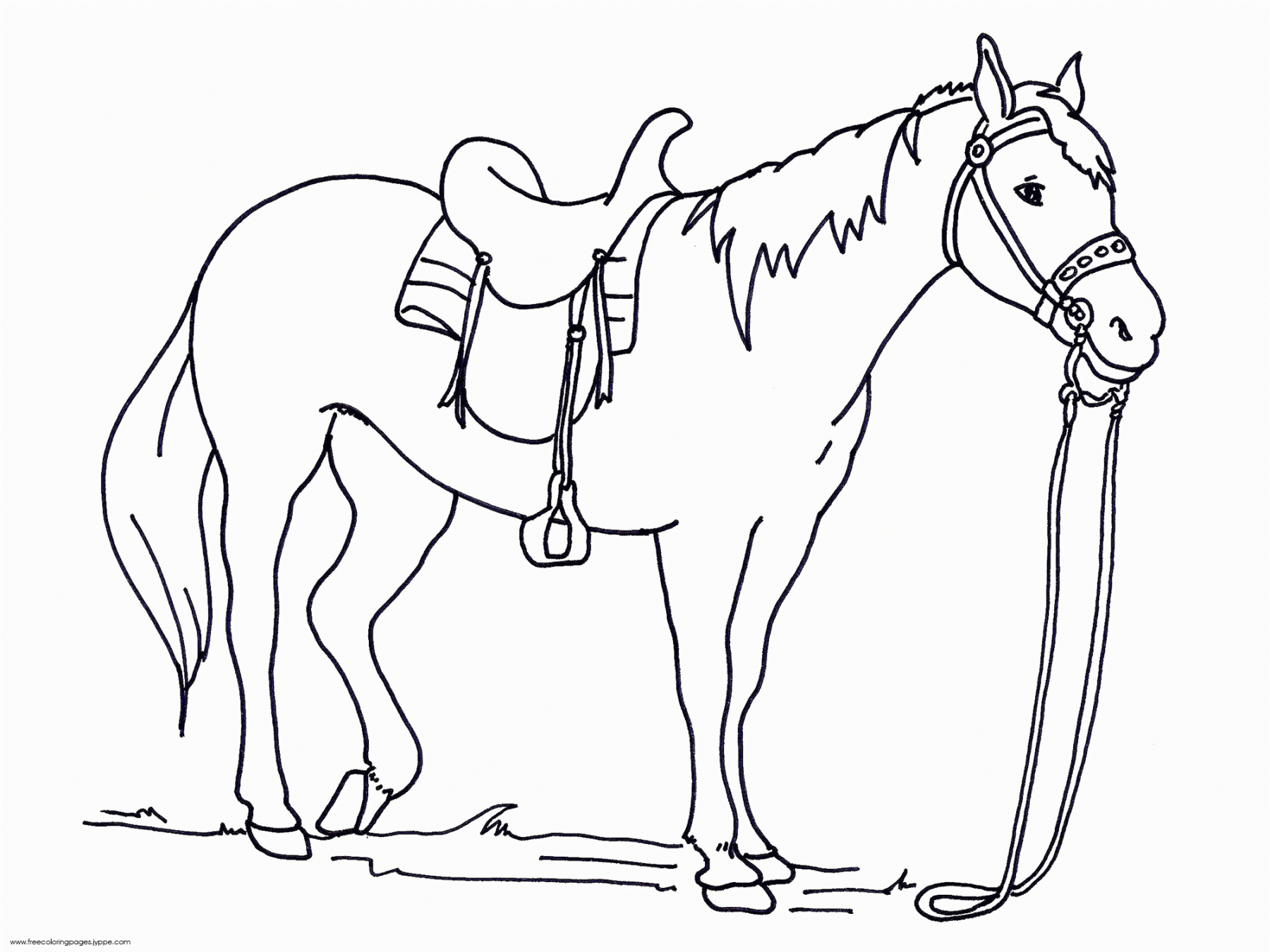 Big Printable Coloring Pages Horses - Coloring Pages For All Ages