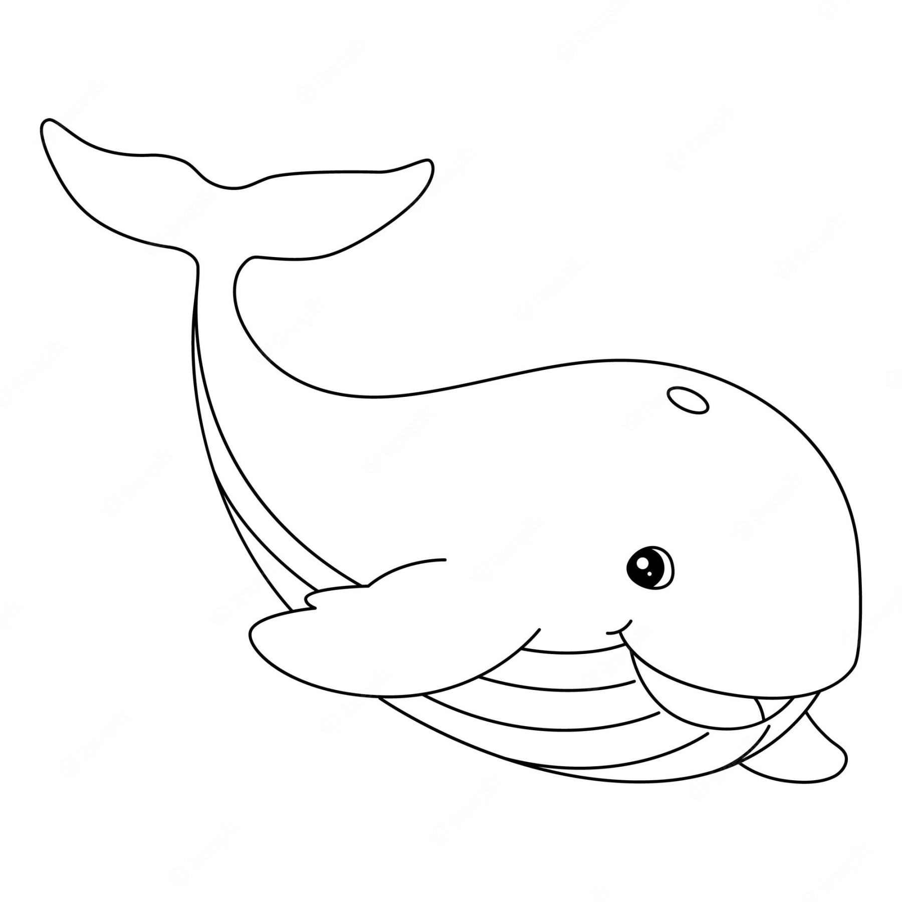 Premium Vector  Whale coloring page isolated for kids