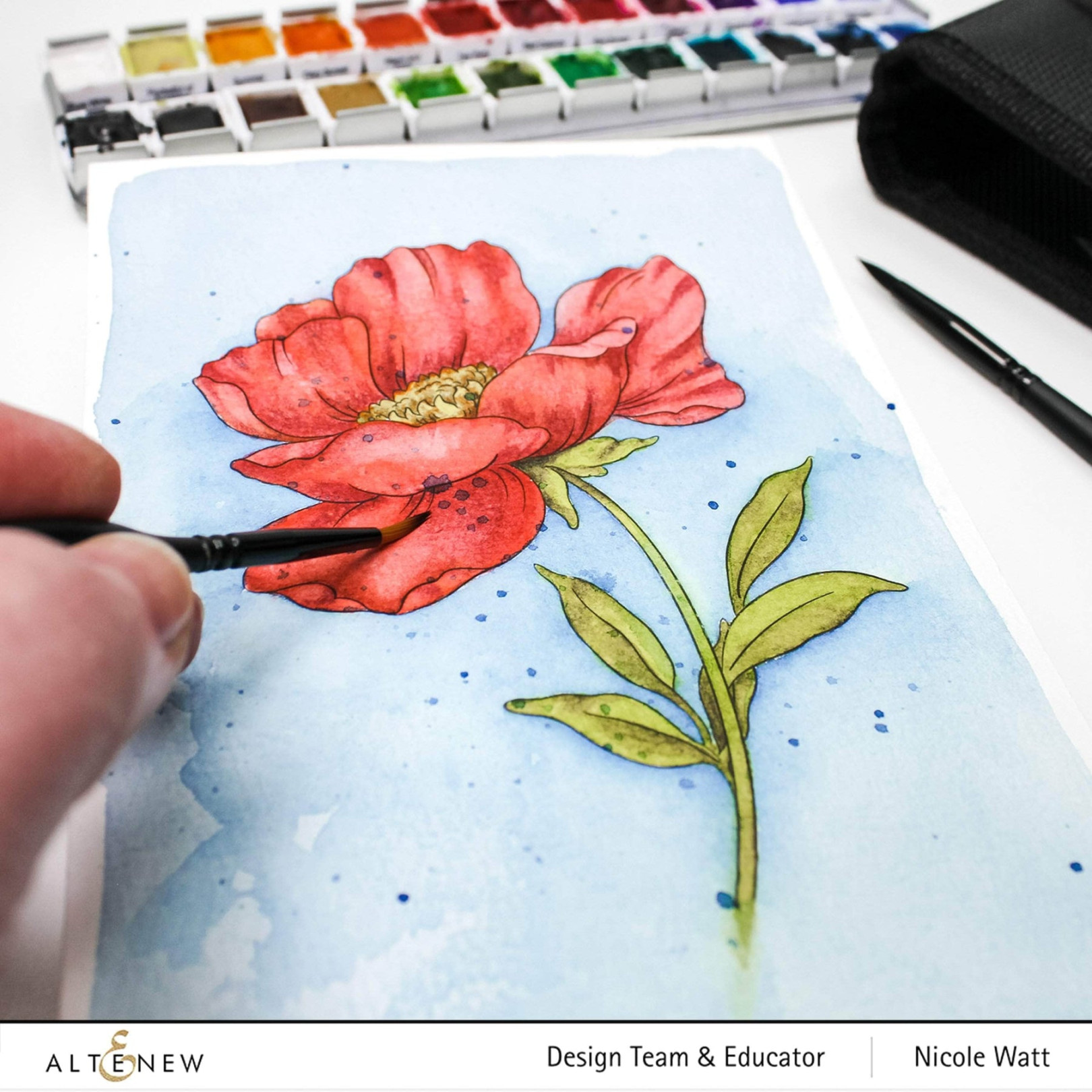 Watercolor Coloring Book - Adult Coloring Book Flowers  Altenew