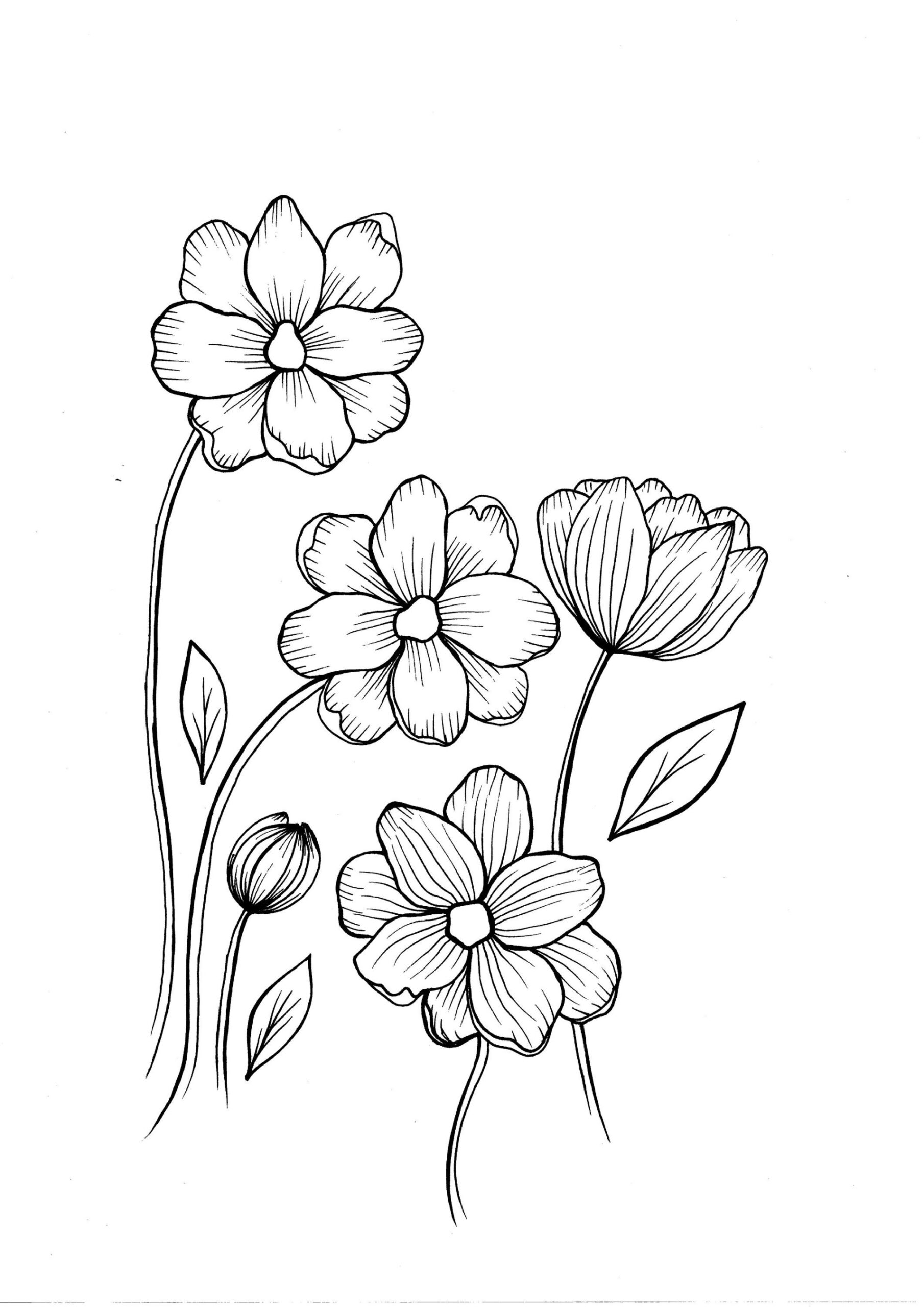 Wild flowers - PDF Coloring Page