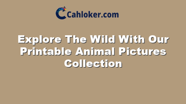 Explore The Wild With Our Printable Animal Pictures Collection